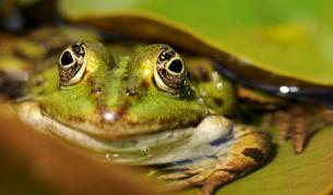 Сеизмолози очакват земетресение в Турция и Гърция