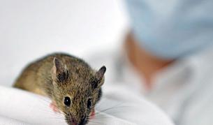 Най-екстравагантните експерименти 