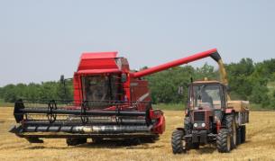 Зърненият баланс на страната е осигурен