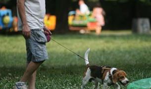 Деца разхождат кучета само с писмено родителско съгласие