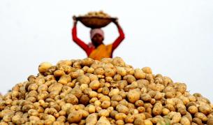 Водата на картофите може да замени чешмяната