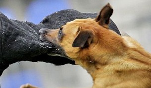 снимка:архив