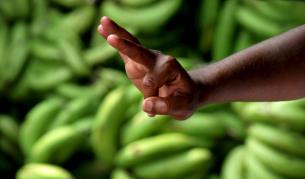 Банановите кори чистят водата от тежки метали