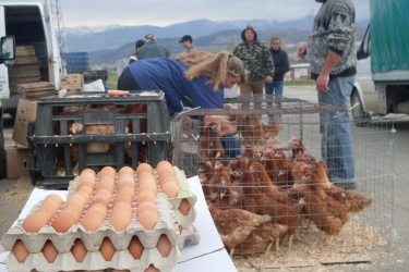 Агенцията за безопасност на храните съветва как да избираме продуктите за празничната трапеза