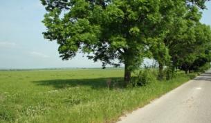 Земята в Добричко стигна 1200 лв. за декар