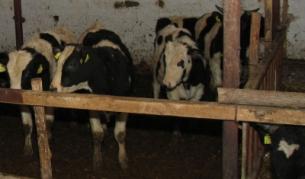 Последна отстрочка за българските фермери