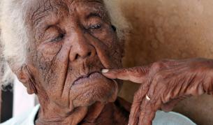 Кубинска столетница