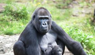 Бебетата трябвало да спят в леглото на мама