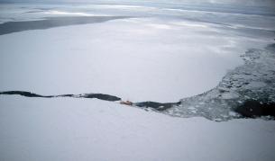 "Изключителен научен експеримент" в българската антарктическа станция