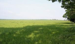 Преброиха 370 222 земеделски стопанства у нас