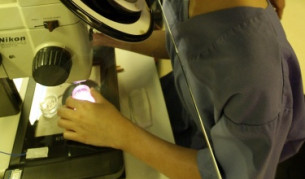 "Замразените" ин витро бебета били по-здрави