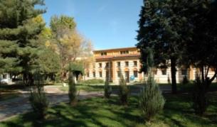 "Чифте баня" в Кюстендил