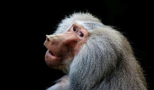 Горе долу с толкова по-малко сме умни