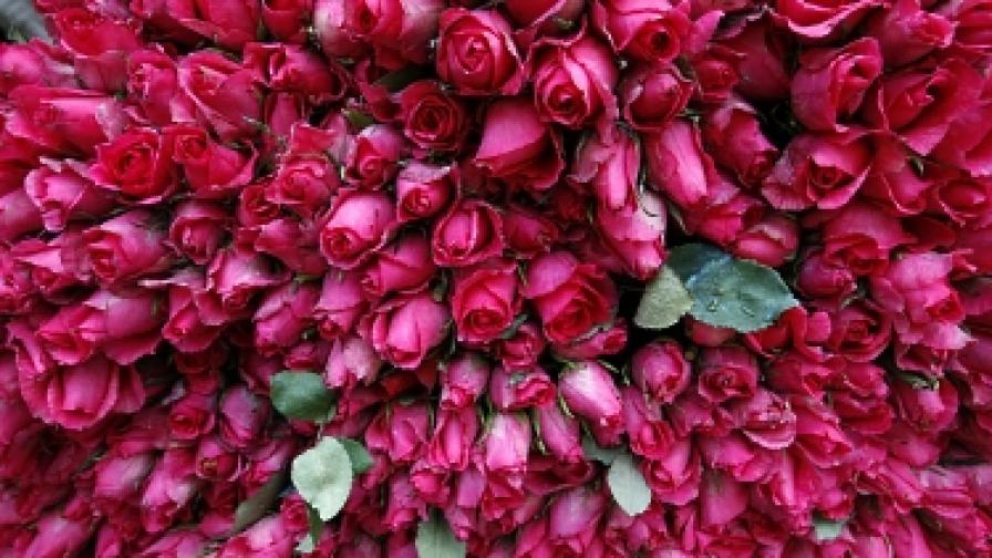 Един милион червени рози за 8 март