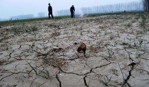 Надежда за гладните: Пшеница, която обича солта и не е ГМО 