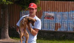 Борисов: Всяко агресивно куче да се евтаназира