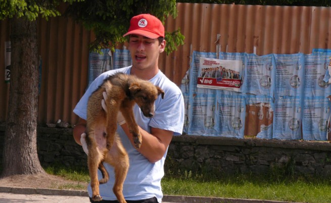 Борисов: Всяко агресивно куче да се евтаназира