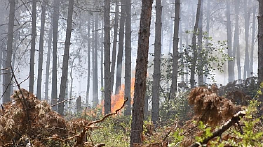 Ново огнище на пожар горя край Стара Загора