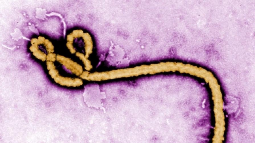 Епидемия от вируса Ебола върлува в Уганда 
