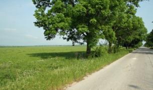 "Винпром Пещера" отрича за сделките с компенсаторки