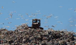 Швеция иска да купува боклук от България, Румъния и Италия