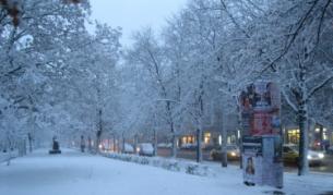 Паркът "Заимов"