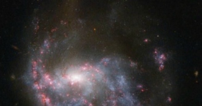 Хората могат да се окажат отчасти извънземни Или по точно извън