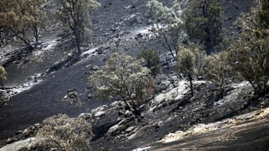 130 пожара бушуват в Австралия, властите наредиха евакуация