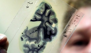 Учени разшифроваха вътрешния глас на човека