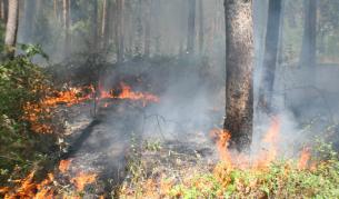 Пожар бушува между две варненски села