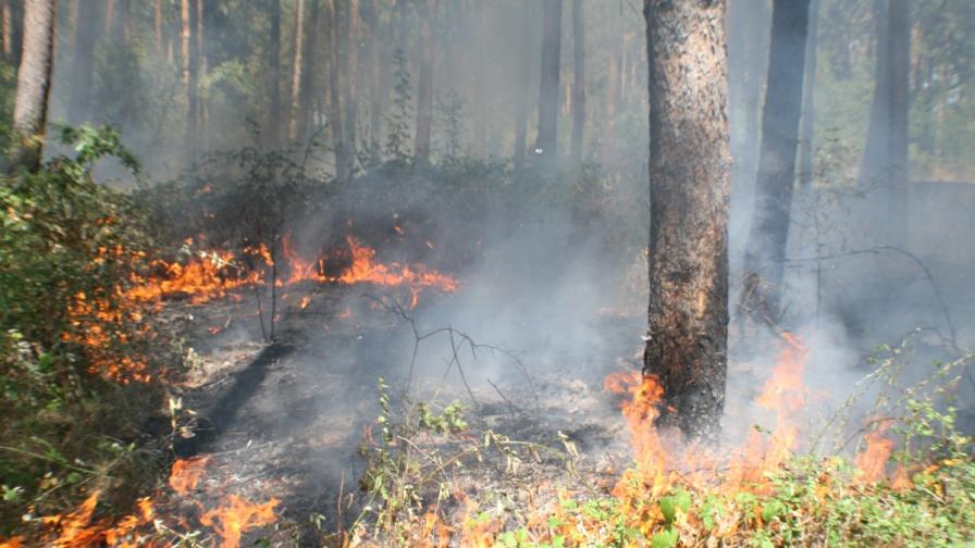 Пожар бушува между две варненски села