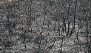 Борбата с пожарите продължава