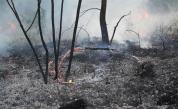 Пожарът край „Росенец“ уби човек