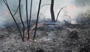 Пожарът край Свиленград е локализиран