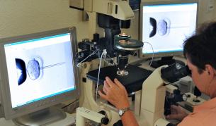 Учени: Жените ще могат да произвеждат сперматозоиди