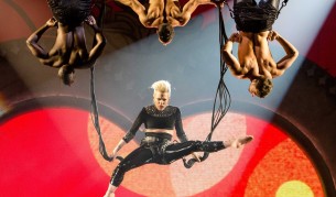 Най-харесваната снимка в интернет в последните дни