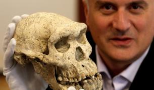 Череп на 2 млн. години обръща идеите за еволюцията