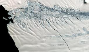 Уловиха рядко неутрино под антарктическия лед