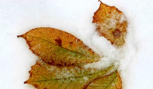 Бури и сняг очакват Гърция и Турция, в България - слънчево