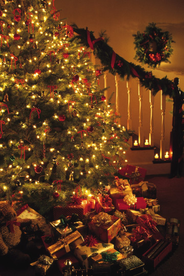 Какво е Коледа без кичесто и красиво украсена елхичка.