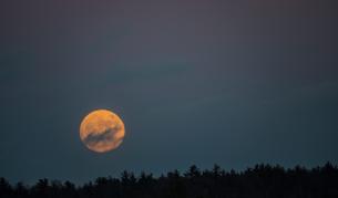 Астрономи: Открихме първата екзолуна